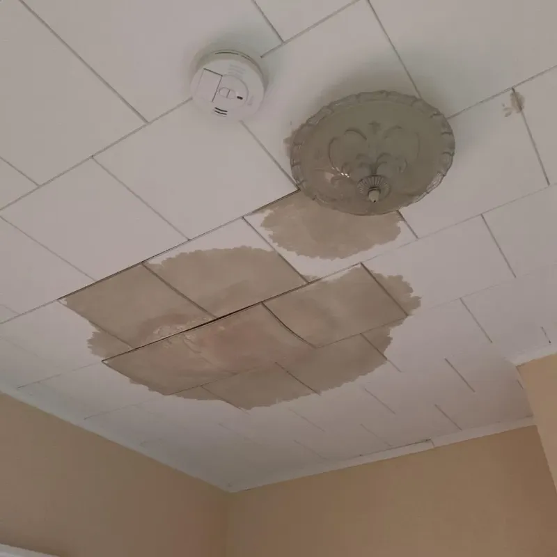 Ceiling Water Damage Repair in Rodney Village, DE