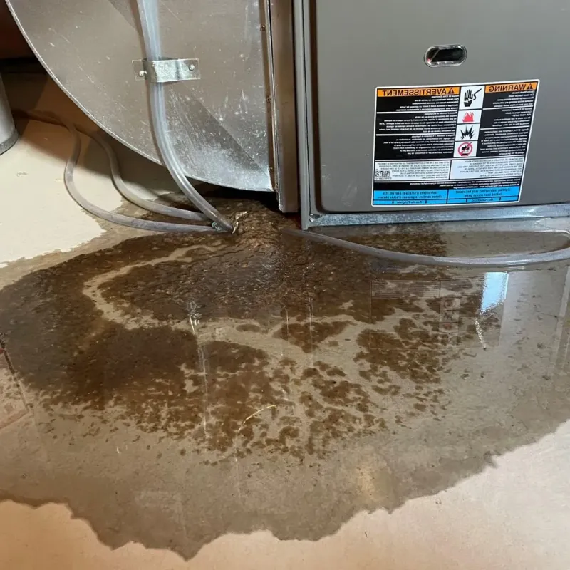 Pipe Burst and Leak Restoration in Rodney Village, DE