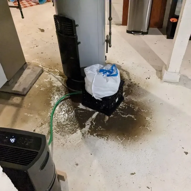 Sewage Backup Cleanup Service in Rodney Village, DE